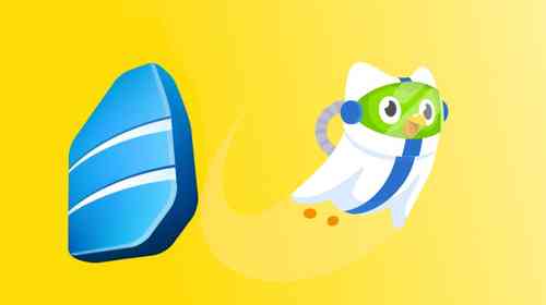 Duolingo vs Rosetta Stone: A Totally Ridiculous Comparison