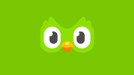 Duolingo Review: If It Wasn't Free, I Wouldn't Bother